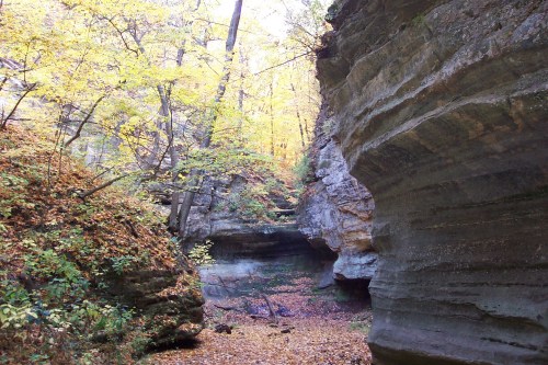 A serene canyon with steep rock walls, surrounded by autumn foliage and a carpet of fallen leaves on the ground.