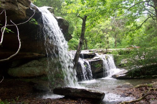 A serene waterfall cascades over rocks, surrounded by lush green trees and a tranquil pool below.