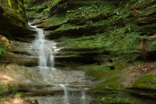A serene waterfall cascading over moss-covered rocks in a lush, green forest.