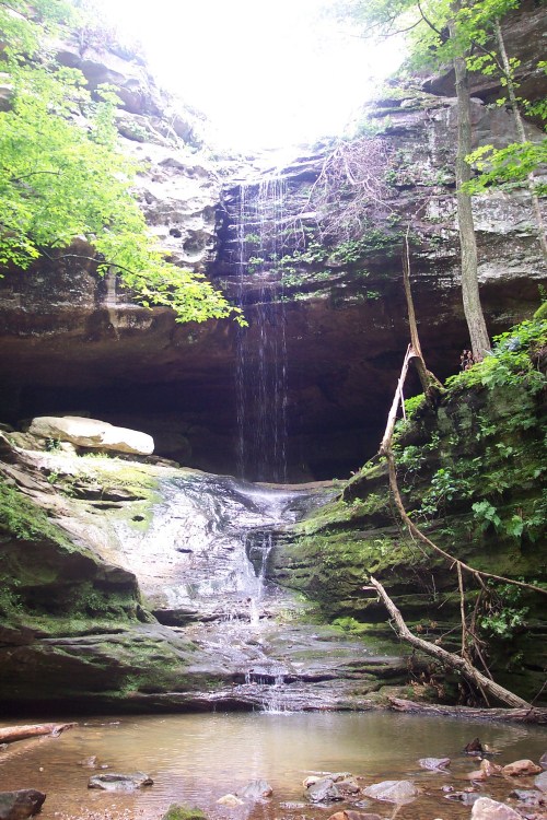 A serene waterfall cascades down rocky cliffs, surrounded by lush green trees and a tranquil pool below.