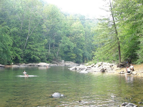 A serene river scene surrounded by lush green trees, with people swimming and relaxing by the water's edge.