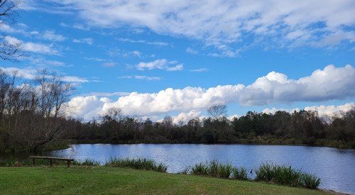 A serene lake surrounded by greenery under a bright blue sky with fluffy white clouds.