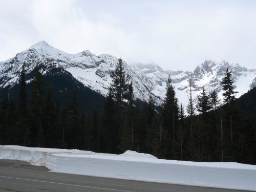 Snow-capped mountains rise above a forest of evergreen trees, with a cloudy sky overhead. Snow lines the roadside.