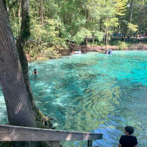 A clear blue spring surrounded by trees, with people swimming and enjoying the water on a sunny day.