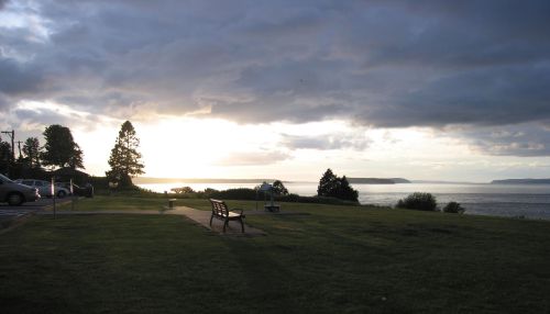 A serene landscape featuring a bench overlooking a calm sea at sunset, with trees and clouds in the background.
