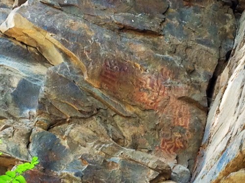 Petroglyphs carved into a rocky surface, showcasing ancient symbols and designs in earthy tones.