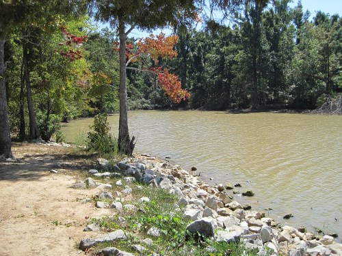 A serene lakeside scene with trees, a rocky shore, and calm water surrounded by lush greenery.