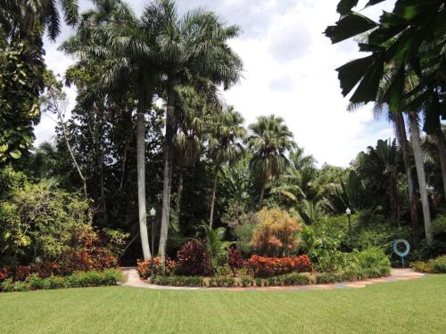 Lush garden with palm trees, colorful flowers, and a winding path under a partly cloudy sky.