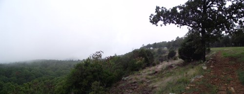 A panoramic view of a misty landscape with trees and a rocky path, showcasing a lush green forest below.