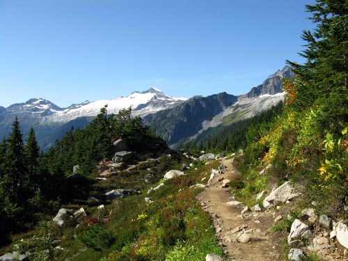A scenic mountain trail surrounded by greenery, leading towards snow-capped peaks under a clear blue sky.