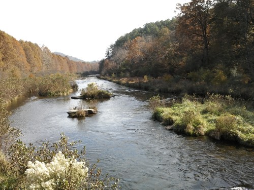A serene river winding through a landscape of autumn trees and lush greenery under a clear sky.