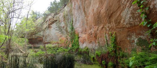A rocky cliff with reddish hues, surrounded by lush greenery and a small body of water at the base.