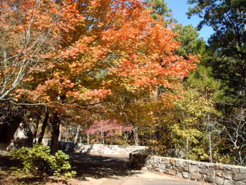 A vibrant autumn scene featuring orange and yellow leaves on trees beside a stone pathway.
