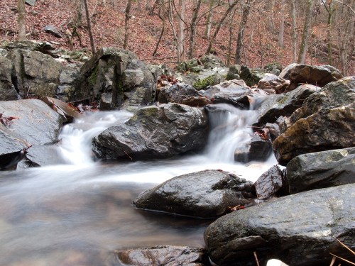 A serene stream flows over smooth rocks, surrounded by autumn foliage and trees in a peaceful forest setting.