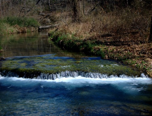 A serene stream flows over a rocky ledge, surrounded by lush greenery and dry leaves in a peaceful natural setting.
