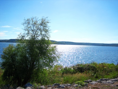 A serene lake view with sparkling water, surrounded by greenery and a clear blue sky.