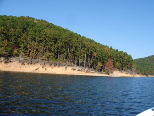 A serene lake surrounded by lush green trees and a sandy shoreline under a clear blue sky.