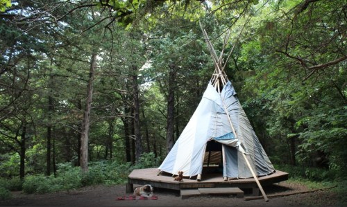 A teepee stands in a lush green forest, surrounded by trees, with a wooden platform and a small dog nearby.