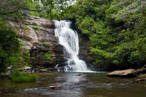 A serene waterfall cascading over rocks into a calm pool, surrounded by lush green trees and foliage.