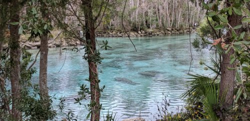 A serene waterway surrounded by trees, featuring calm turquoise waters and a peaceful natural setting.