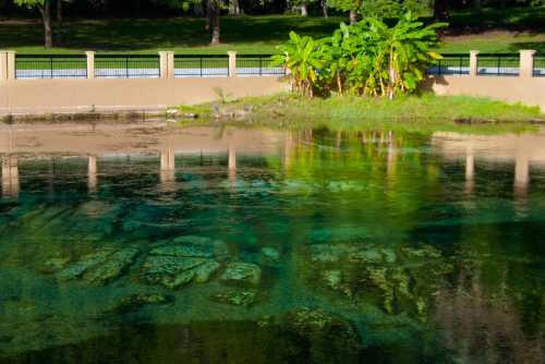 A serene pond with clear water reflecting greenery and a stone wall, surrounded by lush plants and trees.