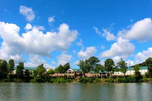 A serene lake view with lush trees and a building along the shore under a bright blue sky with fluffy clouds.