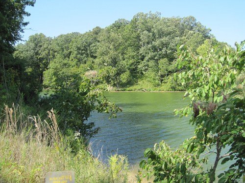 A serene river scene surrounded by lush green trees and foliage under a clear blue sky.