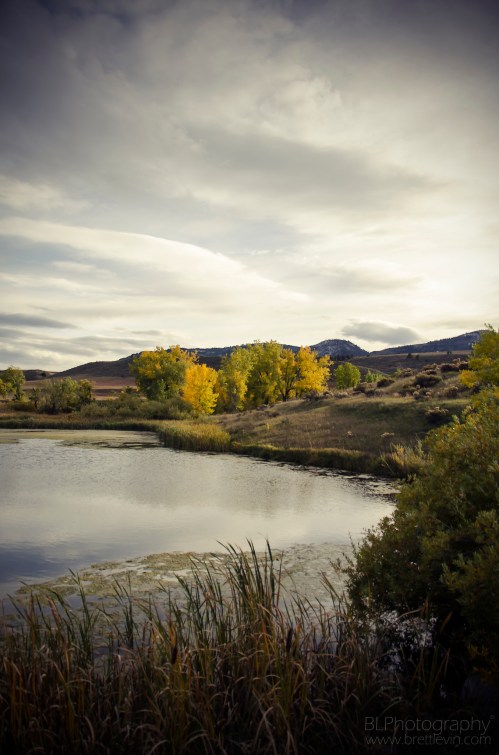 A serene landscape featuring a calm pond surrounded by autumn trees and distant mountains under a cloudy sky.