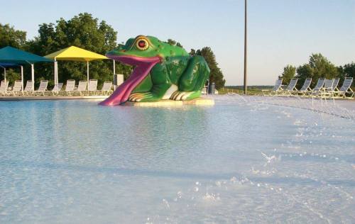 A large green frog sculpture with its mouth open sits in a pool, surrounded by lounge chairs and colorful canopies.