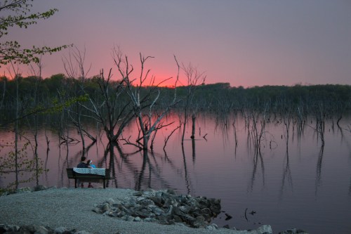 A person sits on a bench by a calm lake at sunset, surrounded by bare trees reflecting in the water.