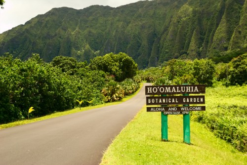 Sign for Ho'omaluhia Botanical Garden, with lush green mountains and trees in the background. Aloha and welcome!
