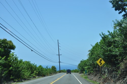 A winding road lined with greenery, power lines overhead, and a warning sign for curves ahead against a clear blue sky.