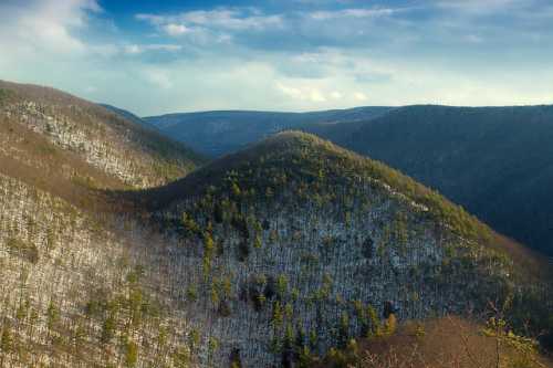 Snow-covered mountains with green trees, under a blue sky with scattered clouds.