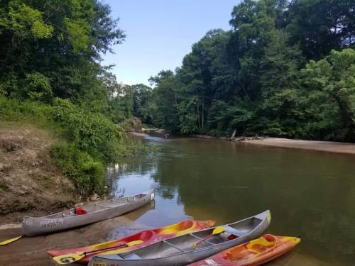 A serene river scene with kayaks on the shore, surrounded by lush green trees and a clear blue sky.