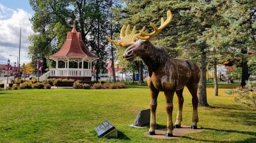 A large moose statue stands in a park near a gazebo, surrounded by trees and colorful autumn foliage.