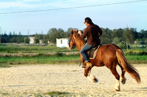 A person riding a brown horse in an open field with trees and a building in the background.