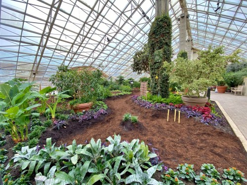 A lush indoor garden with various plants and flowers under a glass dome, featuring a winding path and vibrant greenery.