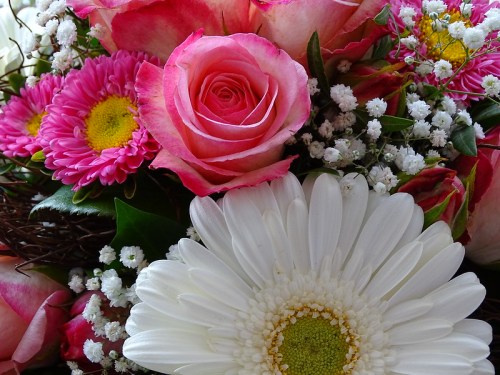 A vibrant bouquet featuring pink roses, white daisies, and colorful chrysanthemums, surrounded by greenery.