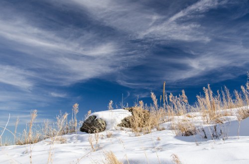 A snowy landscape with rocks and tall grass under a blue sky with wispy clouds.
