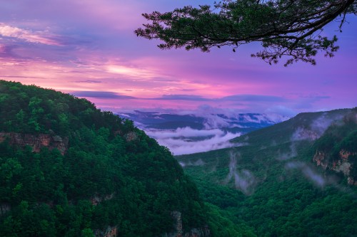 A scenic view of misty mountains at sunset, with vibrant purple and pink skies and lush green forests.