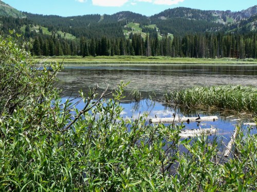A serene lake surrounded by lush greenery and mountains under a clear blue sky. Reflections shimmer on the water's surface.