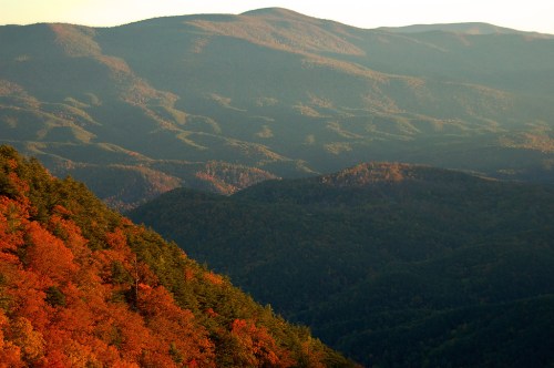 A scenic view of rolling mountains covered in autumn foliage, with vibrant orange and green trees under soft sunlight.
