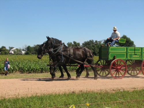 A horse-drawn wagon with a driver travels along a dirt path, surrounded by fields and clear blue skies.