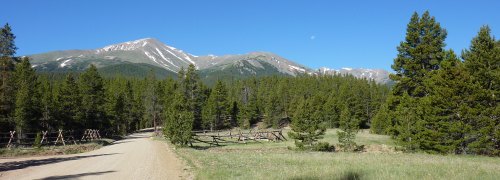 A dirt road winds through a forest of tall trees, leading to snow-capped mountains under a clear blue sky.