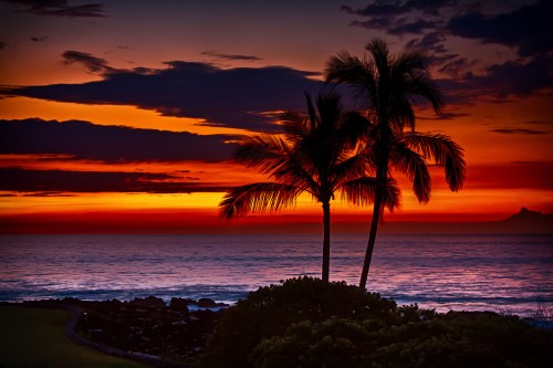 Silhouetted palm trees against a vibrant sunset over the ocean, with dark clouds and a colorful sky.