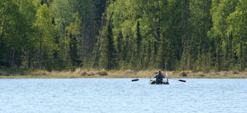 A person paddles a small boat on a calm lake surrounded by lush green trees and a serene landscape.