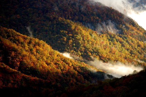 Vibrant autumn foliage covers rolling hills, with mist weaving through the valleys under soft sunlight.
