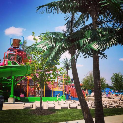 Colorful water slide and palm trees at a water park, with lounge chairs and blue sky in the background.