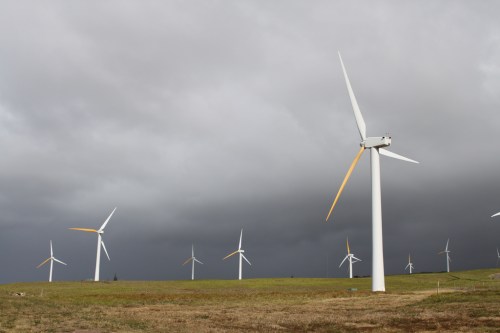A field of wind turbines against a dark, cloudy sky, showcasing renewable energy in a rural landscape.