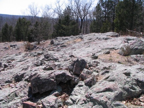 Rocky terrain with scattered boulders, surrounded by sparse trees and a clear blue sky in the background.